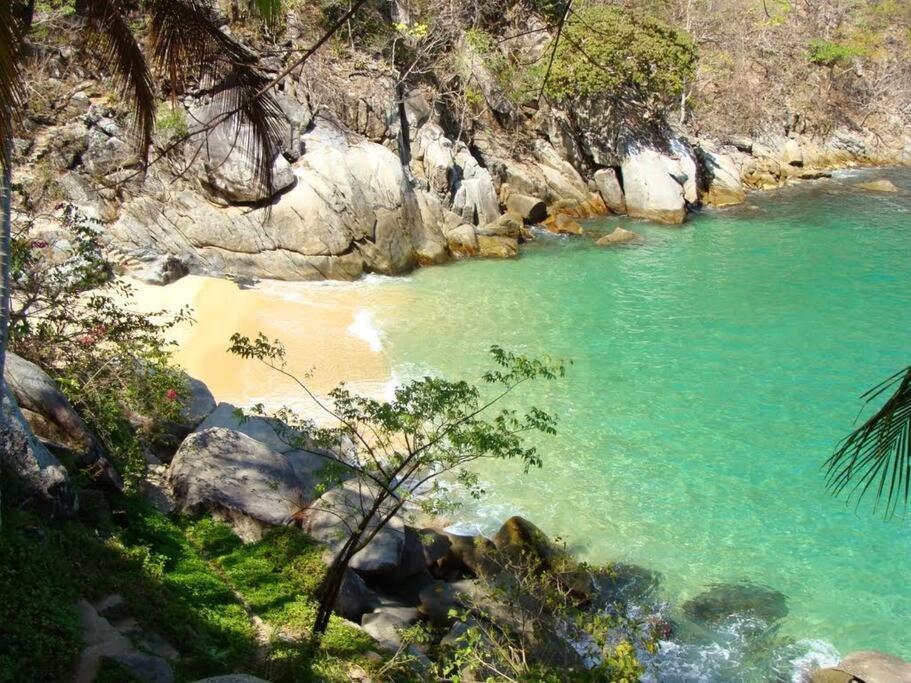 شقة Casa Maleni 2 En Mismaloya بويرتو فالارتا المظهر الخارجي الصورة